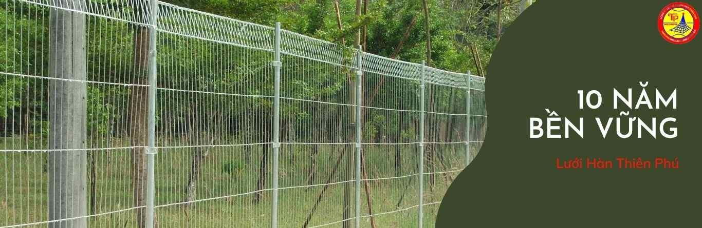 Hàng rào gập tam giác bền vững tại Lưới Hàn Thiên Phú